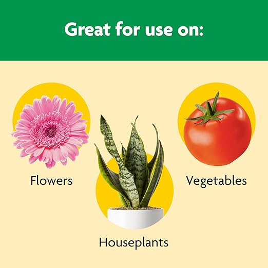 Miracle-Gro Shake 'N Feed All Purpose Plant Food,for In-Ground and Container Plants,Feeds for up to 3 Months,1 lb.,(Pack of 6)