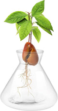 1 PCS Avocado Seed Starter Vases, Pit Planter Pot Avocado Tree Growing Kit Acorn Bulb Vase Grow Glass Blue Hydroponics Container for Gardening Lover