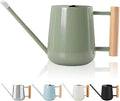 Watering Can Indoor Plants, 30oz/900ml Small Plant Watering Can with Long Spout, Stainless Steel Garden Watering Cans Outdoor Watering Pot for Indoor House Plants Bonsai Flower Decorative