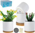 TAMAYKIM 4 Inch White Ceramic Plant Pots with Drainage Holes, Adorable Flower Planter Pot with Tray for Indoor Succulent Plants, Snake Plants, Cactus & Herbs, Set of 4 (Plant Not Included)
