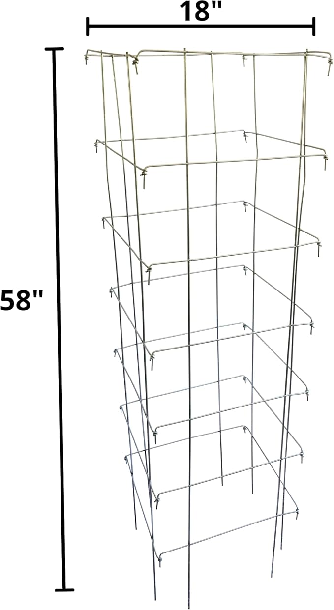 Happy Trees Large Heavy Duty Tomato Cages - Support for Climbing Vegetables and Plants - 18" x 18" x 58" - Thick Gauge Galvanized Steel, Collapsible Easy Storage, 3-Pack, Made in USA
