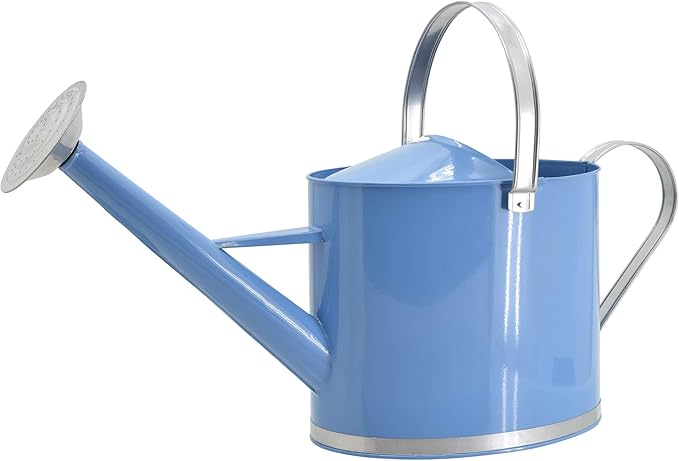Arcadia Garden Products WC17 Chic Watering Can, Indoor and Outdoor, Easy Pour, Gift, 1.8 gal, Sky Blue