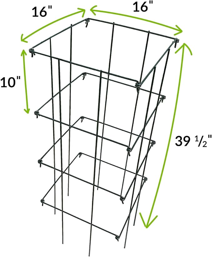 Ferry Morse Plant Cage - Folding Tomato Trellis Cage, Heavy Duty Support, 2 Pack - Steel, 16x16x39.5 in
