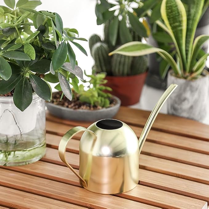 Stainless Steel Water Can for Indoor Plants and Garden (Gold 30 oz)