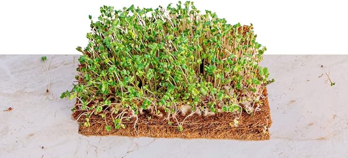 Envelor Coco Coir Fiber Grow Mat for Microgreens 9 x 9 Inches Coconut Coir Seed Starter Liner for Growing Trays, Hanging Baskets, Seed Starter Tray, Planter Sheets & Indoor Outdoor Plants, 10 Pack