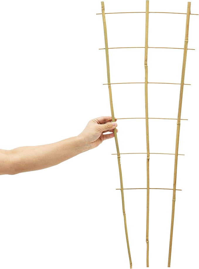 10 Pack 3 Feet Natural Bamboo Trellis, Fan-Shaped Bamboo Plant Trellis for Climbing Plants, Vegetables, Cucumber, Tomato, Outdoor and Indoor Potted Plants