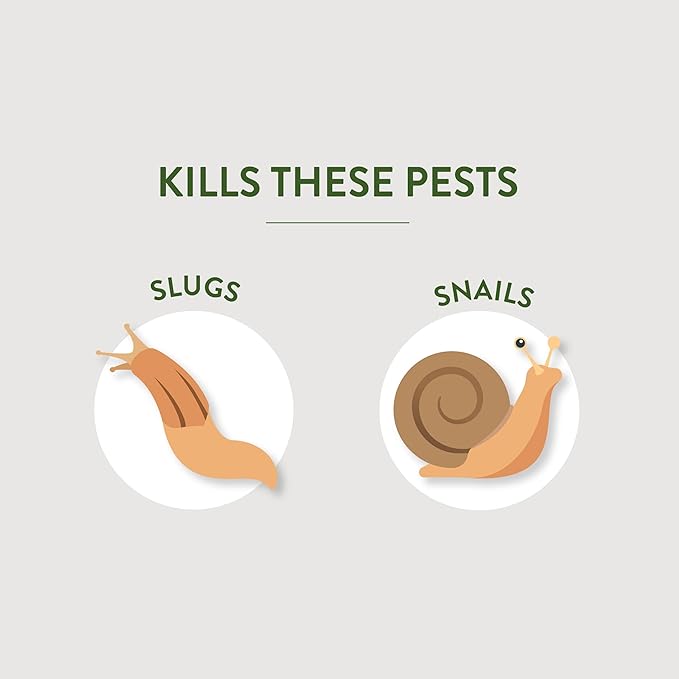 Garden Safe Brand Slug & Snail Bait Granules, 2 Pounds, Slugs & Snails Begin to Die Within 3 to 6 Days, Can Be Used Around Pets & Wildlife, For Lawns, Gardens & Greenhouses, 6 Pack