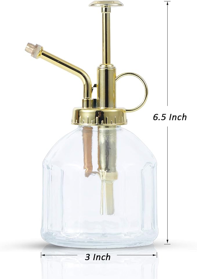 Glass Plant Mister Spray Bottle, Succulent Watering Bottle with Golden Top Pump, Vintage Plant Spritzer, Decorative Water Sprayer Small Watering Can for Indoor Outdoor Houseplant - Clear