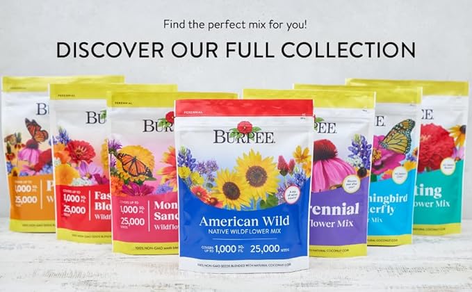 Burpee Wildflower Mix Monarch Sanctuary Seeds | 25,000 Non-GMO Seeds, 3 Types of Butterfly Weed Plus Cornflower, Lupine, Echinacea, and More | Pollinator Garden Attracts Monarch Butterflies