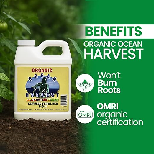 EZ-GRO 0-0-1 Seaweed Fertilizer for Plants – Organic Liquid Plant Food for Indoor & Outdoor Use | Ideal for Vegetables, Trees, Lawns & Shrubs | Promotes Plant & Flower Growth | 32 FL OZ (1 Quart)