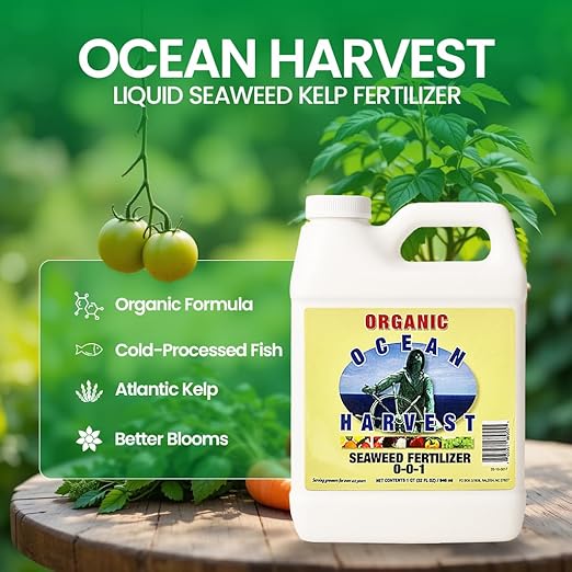 EZ-GRO 0-0-1 Seaweed Fertilizer for Plants – Organic Liquid Plant Food for Indoor & Outdoor Use | Ideal for Vegetables, Trees, Lawns & Shrubs | Promotes Plant & Flower Growth | 32 FL OZ (1 Quart)