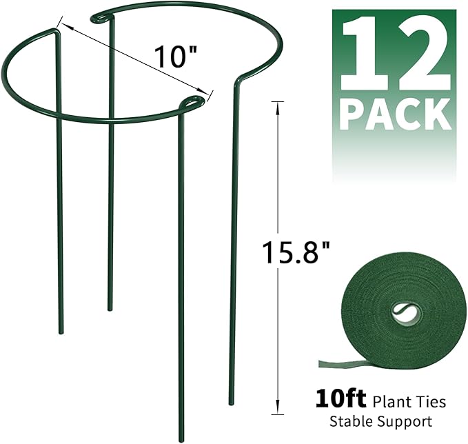 AMAGABELI GARDEN & HOME 12 Pack Plant Support Stakes 10" W x 15.8" H Heavy Duty Half Round Peony Cage Metal Garden Support Structures Plant Cage with Ties for Indoor Flower Tomato Hydrangea Monstera