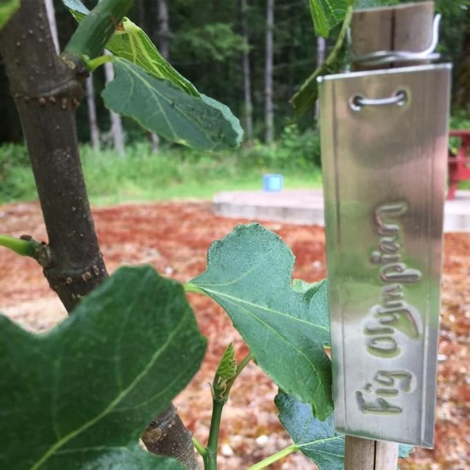 Aluminum Plant Labels - 50PCS Metal Tags with Wires for Plant Markers, Tree Tags, Outdoor Identification and Greenhouse