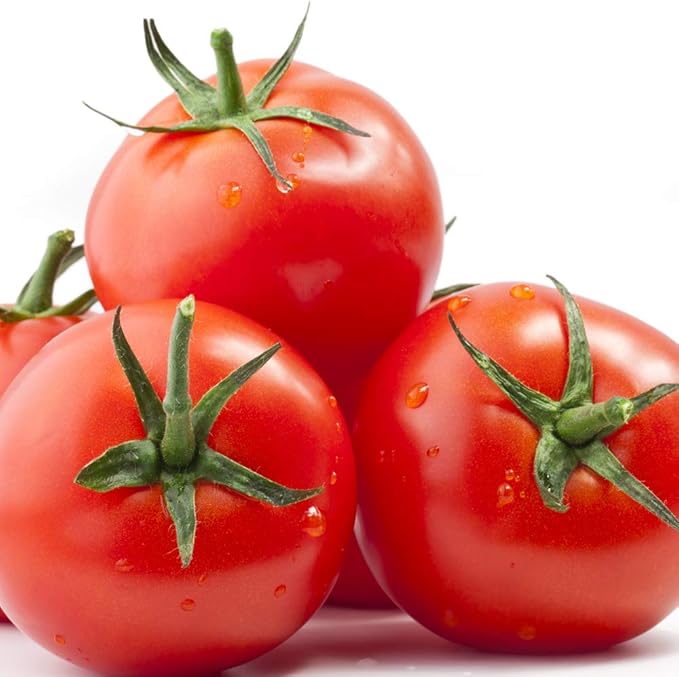 Jobe’s Fertilizer 06000, Spikes, for All Tomato Plants, 18 Spikes (Pack of 2)