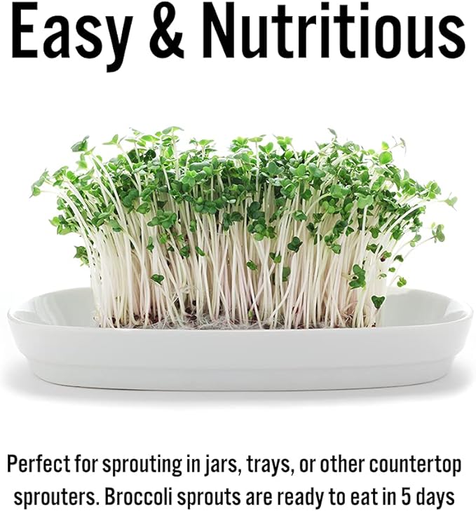 1 lb Broccoli Sprouting Seeds - Perfect for Sprouting & Microgreens, Rich in Sulforaphane, USA Grown (Resealable Bag)