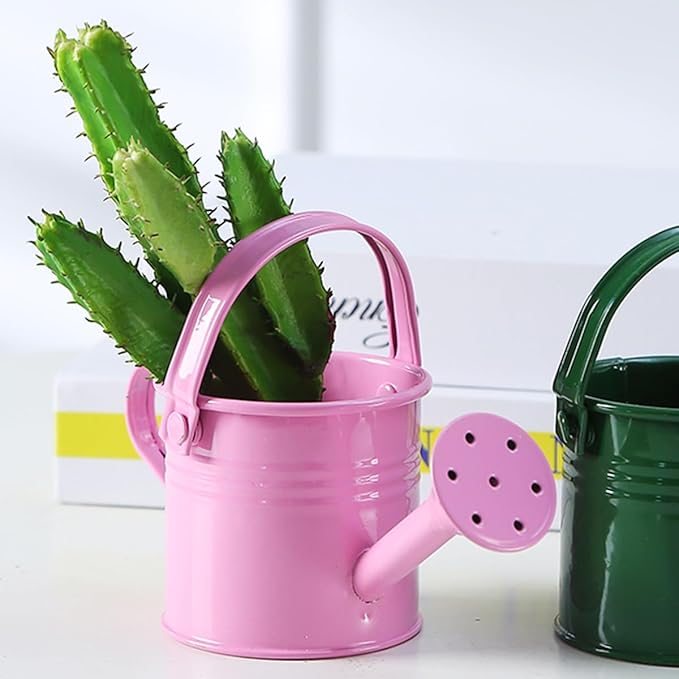 DOITOOL Small Metal Watering can for Kids Pink Mini Flower Watering Pot with Long Spout Portable for Indoor and Outdoor Plant Care