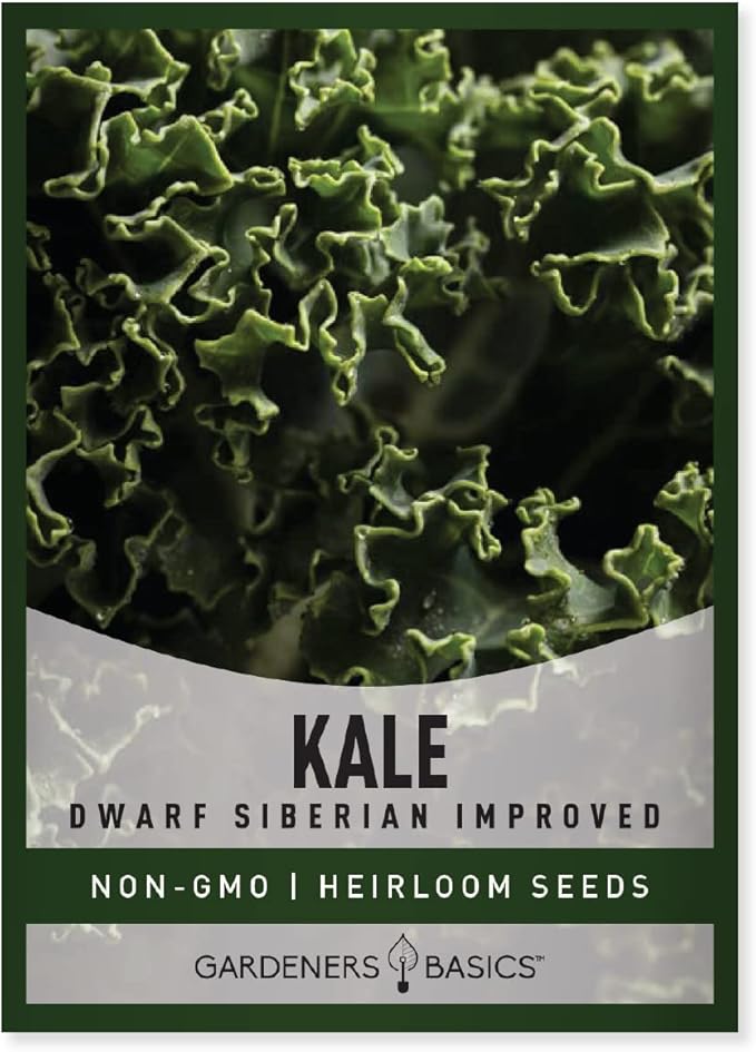 Gardeners Basics Kale Seeds for Planting, Heirloom, Non-GMO Vegetable Variety - Great for Indoor, Outdoor, and Hydroponics Gardening (Dwarf Siberian Improved)