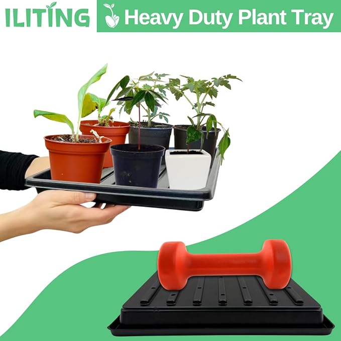 Plant Growing Seed Starter Trays for Seedlings Microgreen, Shallow Plants Tray Standard 1010 Tray with Drain Holes 5 Pack Black 10.7 x 10.7 inches Square Trays