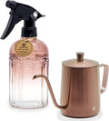 Watering Can for Indoor Plants Long Spout Metal Stainless Steel 21 oz/600 ml Small Watering Can with 14 oz/400ml Glass Plant Mister Spray Bottle for Plants Bonsai