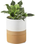 HASENSE Self Watering Plant Pot, 6 Inch Porcelain Planter with Drainage Hole and Saucers for Indoor & Outdoor Plants, Round Flower Pots for Houserwarming Gift, White