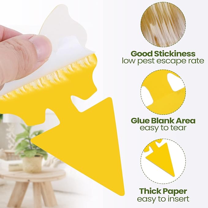 Qualirey 50 Sheets Fruit Fly Sticky Traps for Fruit Fly Gnat Trap for House Indoors Sticky Traps Catcher for Gnats Fungus Gnats Mosquito Catcher Kitchen Outdoor Plants(Classic Style, Yellow Color)