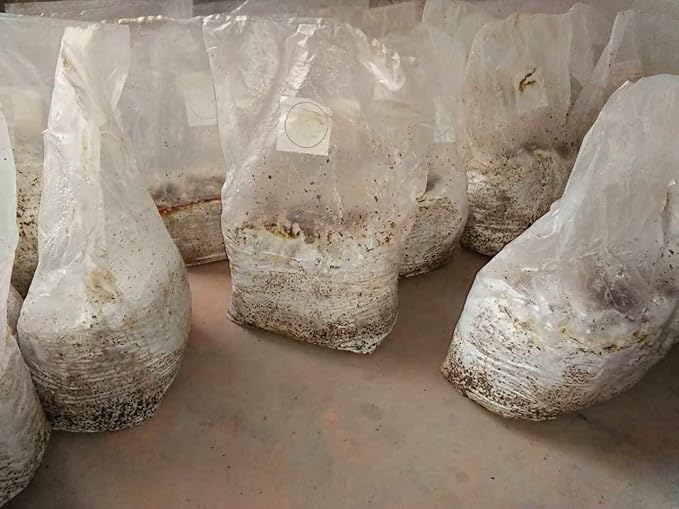Mushroom Bags,Mushroom Grow Bag/Farm-Mushroom Spawn Bags/Sealable Spawn/Myco Bags,Large Size 8" X 5" X 19",0.5 Micron Filter, 3 Mil Polypropylene,for Substrate Autoclavable Mushroom Cultivation