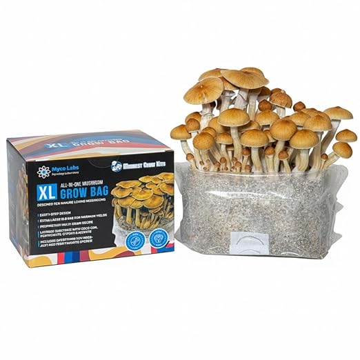 Myco Labs All-in-One Mushroom Grow Bag for Manure Loving Mushrooms + Spore Germination Jar! (6LB)