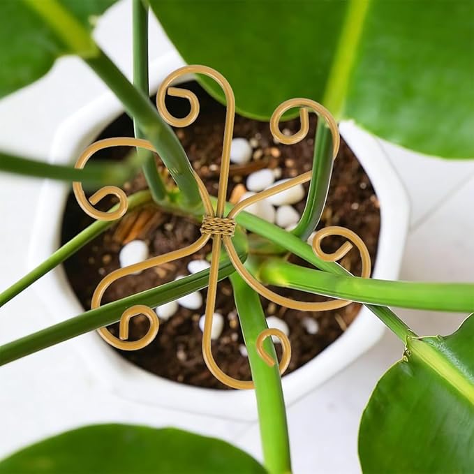 4PCS Iron Plant Stem Support for Indoor Plants Reusable Plant Holders Plants Support Stabilizer for Monstera Bamboo Flower for Growth Gardening Supplies Gifts for Gardeners Garden Tool Set