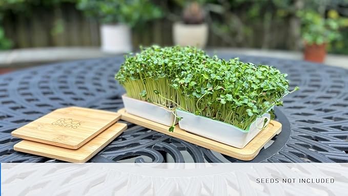 Microgreens Growing Kit. Easy-To-Use, Self-Watering. Includes Two Specially Designed Color-Coded Ceramic Trays With Matching Lids to Create an Optimal Cozy Microenvironment for Seeds; Mats, and a Tray
