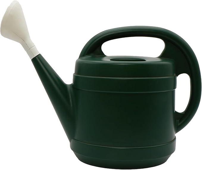 Standard Watering Can - Plant Watering Can - Small Plastic Garden Water Pot for Indoor Outdoor Plants Flowers by The HC Companies, 2 Gallon, Green