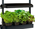 SunBlaster T5HO Indoor Micro Growlight Garden, Home Growing Kit, Black Small
