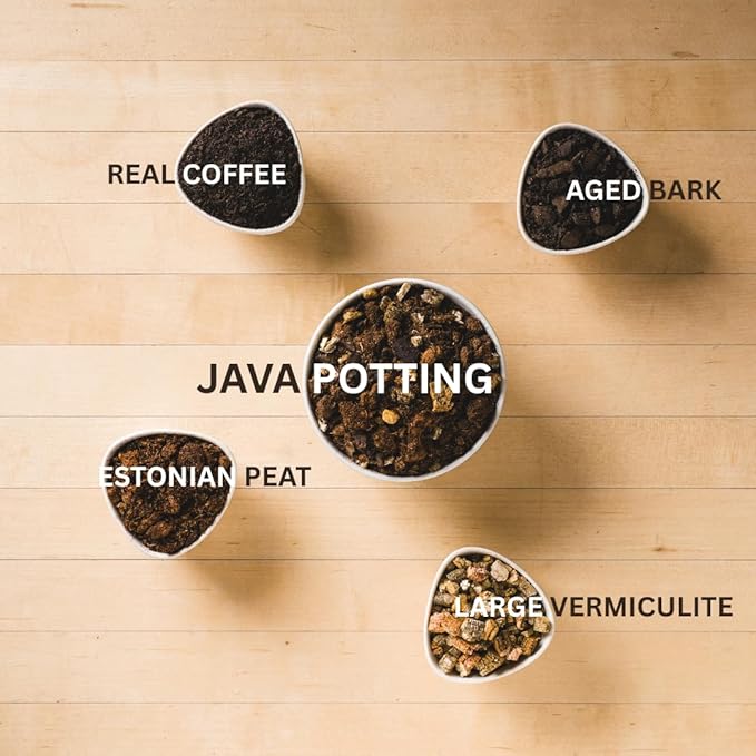 Java Potting Soil: A Well Draining, Coffee‑Infused Living Indoor Mix Ready to Grow. for All Monstera, Calathea, Fiddle Leaf Fig, ZZ, Snake, Spider and Pothos Plants; with Chunky Vermiculite. 6 (QT)