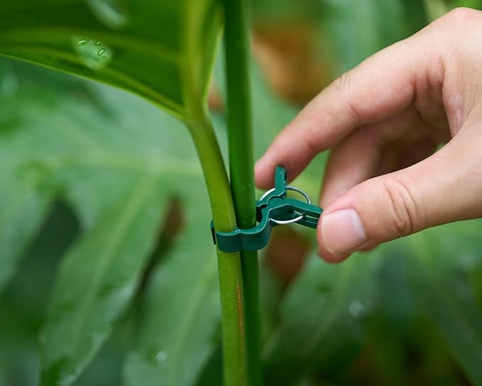 Garden Plant Clips 50 Pack Small Size Dark Green, Reusable Garden Plant Supports Clips for Supporting Stems of Flower Vine Vegetables Tomatoes Climbing