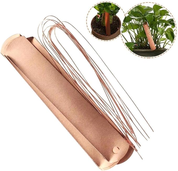 100 Pcs Metal Plant Labels Copper Tree Tags Metal Garden Tags Reusable Plant Markers for Outdoor Greenhouse Vegetables Flower Identification