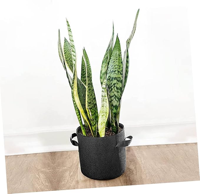 BESPORTBLE 5pcs Non-Woven Planting Bags Breathable Grow Bags for Indoor and Outdoor Use for Vegetables Flowers and