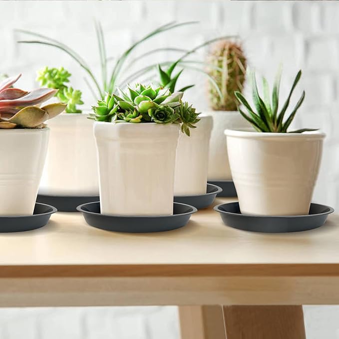 6 Pack Plant Saucer 4 6 8 10 12 14 16 18 20 22 Inch Plastic Plant Tray, Sturdy and Durable Flower Pot Container Accessories Plant Pot Saucers for Indoor and Outdoor (14 Inch, Gray)