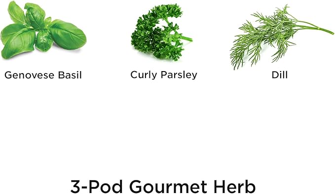 AeroGarden Gourmet Herb Seed pod Kit - Herb Seeds for AeroGarden Indoor Garden, 3-Pod
