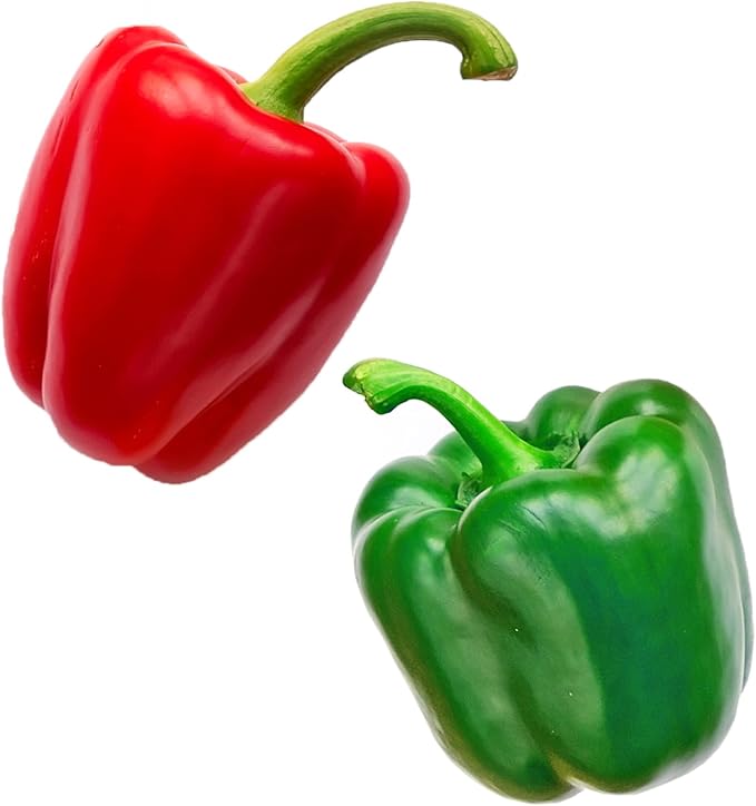 40ct Sweet Bell Pepper Seeds for Planting,Green & Red Bell Pepper,Non-GMO Heirloom Seed Vegetable Seeds for Home Vegetable Garden&Hydronic Pods-Veggie Seeds:California Wonder