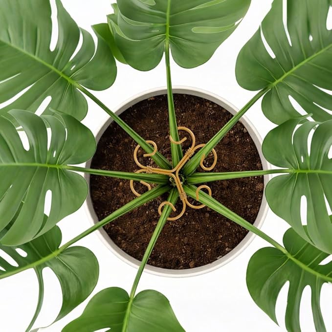 Iron Monstera Support, 4 PCS Plant Stem Support Plant Support Stakes for Indoor Plants and Flowers Stable Plant Stakes and Supports Turtle Shell Bamboo Clamp Set for Thriving Growth
