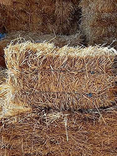 Premium 100% Natural Straw for Animal Bedding, Garden Mulch, Compost & Fertilizer, and Grass Cover (4 lbs)