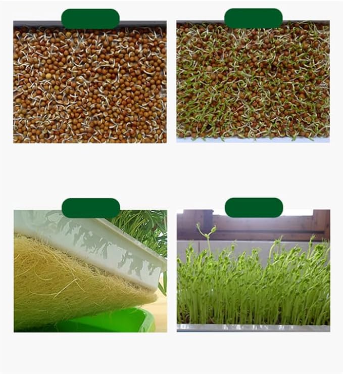 Hemoton Plant Tray 2 Tier Tray 2 Tier Sprouting Kit Soil-Free Wheatgrass Grower Nursery s Germination Bean Sprout Grower Sprouter Veggie Veggie