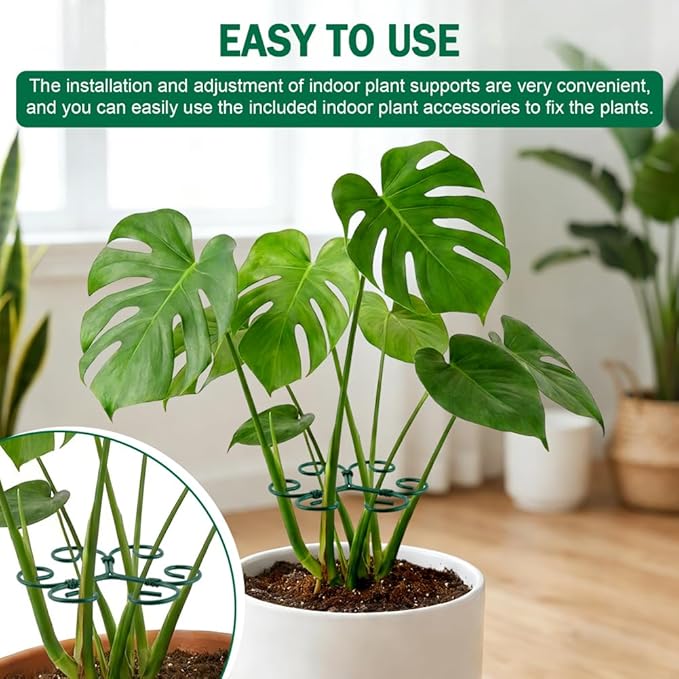 5 Pack Plant Stem Support Set, Reusable Iron Plant Stakes for Indoor Plants, Plant-Support-Stakes for Thriving Growth(Color:Green)