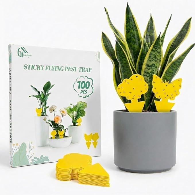 100 Pcs Sticky Traps for Fungus Gnat (Plants), Fruit Fly, Whitefly, and Fly, Yellow Sticky Insect Catcher Traps for Indoor/Outdoor, Kitchen, and Plants, High-End Glue, Non-Toxic, Yellow