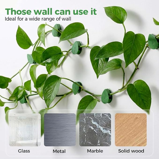 60 Pcs Plant Climbing Wall Fixture Clips with Acrylic Adhesive Sticker, 2026 New Wall Vines Fixing Clips, Leaf Fixer Invisible Wall Vines Fixing Clips Hook for Indoor Outdoor Decoration (60PCS)