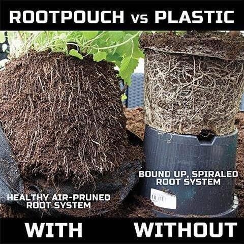 Root Pouch Maui Mike's Soft Pot (15 Gallon) Thicker Grow Bags/Fabric Planters from Maui Mike's.Made from Recycled Water Bottles. Industrial Sewn Strong Handles. Last for Years.