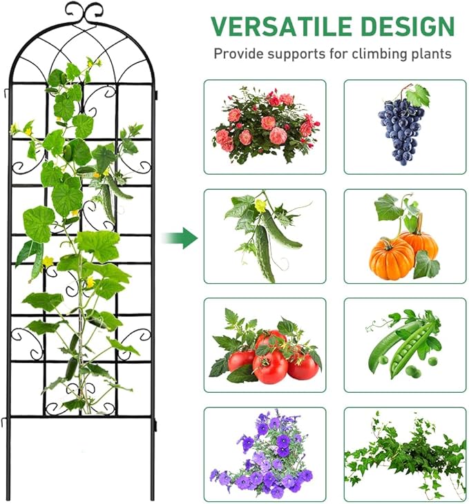 2 Pack 71x20in Garden Trellis, Black Metal Coating Rustproof, Easy to Install + Perfect for Supporting Climbing Plants Outdoor Roses, Vines, Flowers, and Vegetables