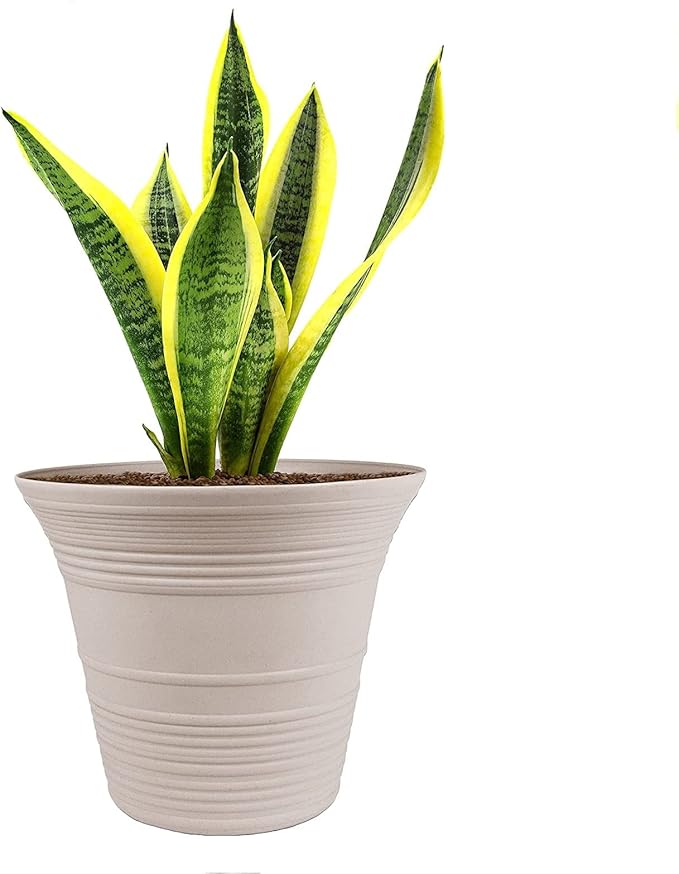 The HC Companies 12 Inch Sedona Round Self Watering Planter - Decorative Lightweight Plastic Plant Pot for Indoor Outdoor Plants Flowers Herbs, Cottage Stone (Pack of 3)