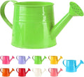 Watering Can, 1L Metal Flower Garden Watering Can, Lightweight Durable Decorative Gardening Tool for Outdoor Indoor Plants Lawn Garden (Green)