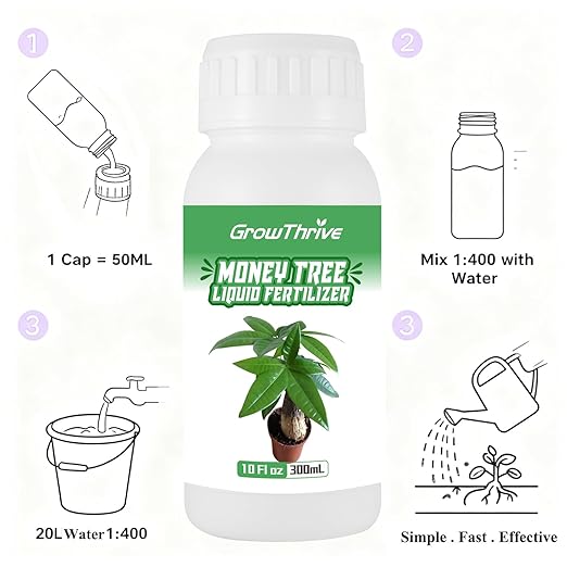 Money Tree Fertilizer for Money Trees and All Pachira Plants,Microbial Organic Liquid Plant Food for Houseplants’ Healthy Growth & Glossy Leaves 10 oz (300mL)