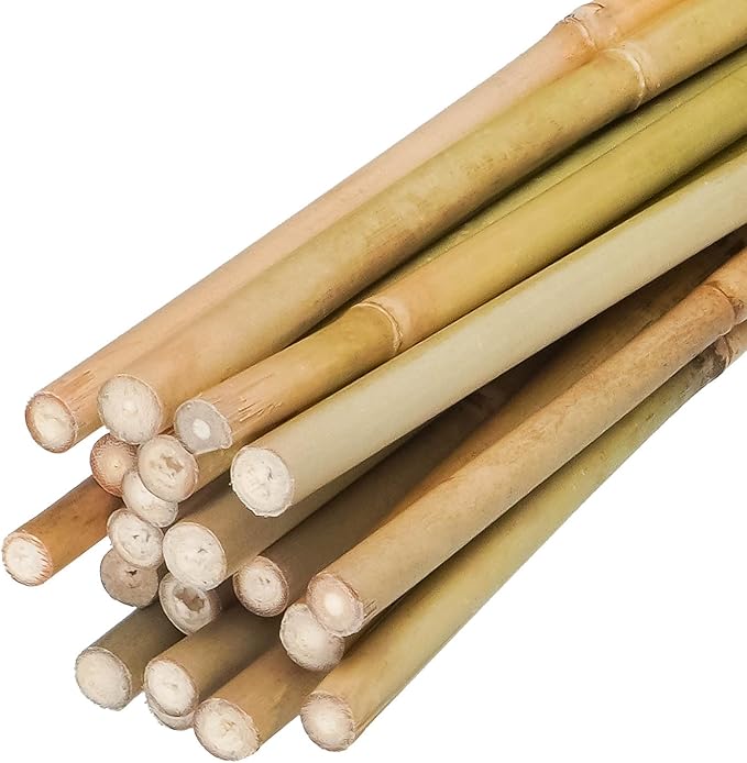 Natural Bamboo Plant Stakes 7ft 3/4" D for Tomatoes, Beans, Flowers, Potted, Climbing Plants 15pcs